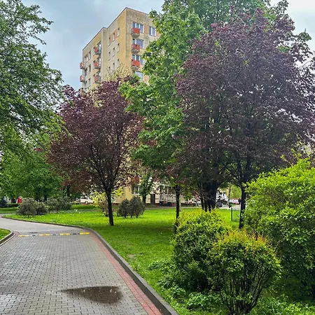 Rentplanet - Miedzynarodowa Warsaw